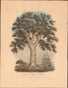 1841 King / Egan 'Genealogical Tree' of British Naval Victories