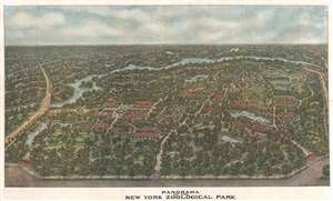 1913 Adickes View Map of the Bronx Zoo, New York City