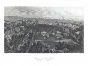1873 Warren View of Buffalo, New York