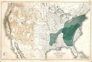 1884 Sargent Arboreal Map of the United States Depicting Beech Trees