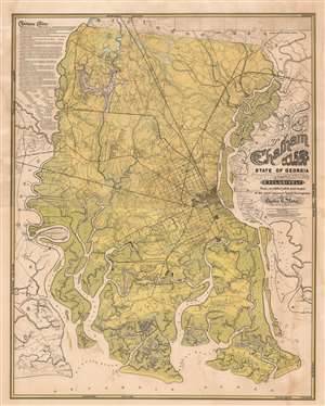 1875 Platen Wall Map of Chatham County (Savannah), Georgia