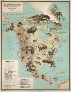1928 Baloghné and Bálint Pictorial Zoological Wall Map of North America in Hungarian