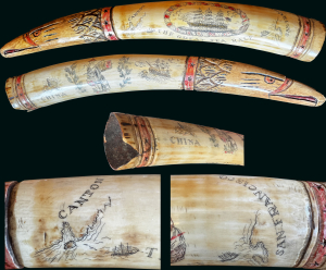 1851 Scrimshaw Walrus Tusk 'Great Tea Race' Canton to San Francisco