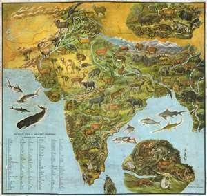 1947 Dass Map of India Illustrating Animals
