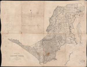 1891 Alexander Black Map of Mornington Peninsula