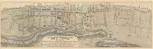 1891 Stark City Map or Plan of Nassau, Bahamas