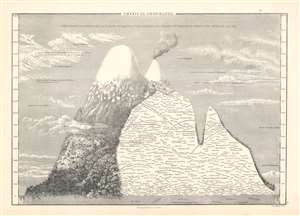 1853 Black Map or Chart of the Mountains and Plants of South America