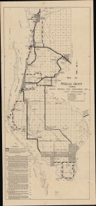 1922 Unrecorded Survey Map of Pinellas County, Florida