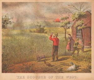 1875 Brown Chromolithograph of a Locust Swarm in the Midwest (Kansas, Nebraska, Minnesota, etc.)