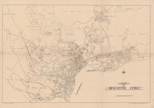1930 Printers Limited Map of Singapore City