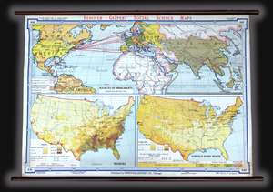 1940 Denoyer-Geppert Wall Map of Demographics and Immigration in the U.S.