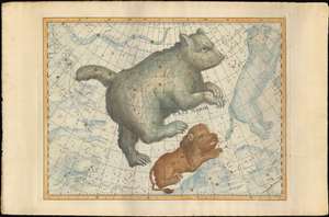 1801 Bode Constellation Chart / Map of Ursa Major (Big Dipper) (elephant folio)