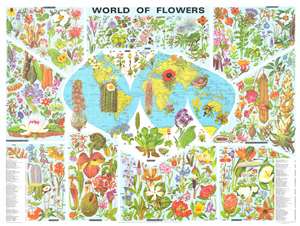 1972 Bartholomew Pictorial Map of the World and its Flowers