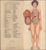 Le corps humain. Anatomie de la Femme. - Alternate View 3 Thumbnail