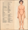 Le corps humain. Anatomie de la Femme. - Alternate View 5 Thumbnail