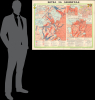 1973 GUGK Historical Wall Map of the Battle of Leningrad, World War II