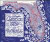 1938 Friedman Cartoon Pictorial Map of Florida