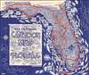 Ken Friedman's Cartoon Map of Florida. - Main View Thumbnail
