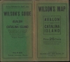 Map of Catalina Island California / Wilson's Map of Avalon and Catalina Island. - Alternate View 1 Thumbnail