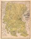 1875 Platen Wall Map of Chatham County (Savannah), Georgia
