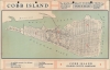 1935 Maryland Realty Investment Map of Cobb Island