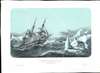 Les Corvettes L'Astrolabe et la Zélée, aux ordres du Ct. Dumont D'Urville, dans le coup de vent du Janvier 1840. Parages de cercle Polaire Antarctique. - Alternate View 1 Thumbnail