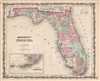 1860 Johnson Map of Florida