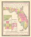 1846 Mitchell / Tanner 1st Edition Map of Florida w/ Leigh Read County!