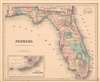 1857 Colton Map of Florida