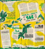 1956 Florida Realty Bureau Promotional Pictorial Map of Highlands County, Florida
