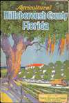 1920 Tampa Board of Trade Map of Hillsborough County, Florida