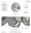 1992 U.S. Geological Survey Map or Photomosaic of Iapetus, Moon of Saturn