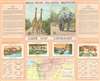 Kruger National Park Guide Map. Nasionale Krugerwildtuin Gidskaart. - Alternate View 1 Thumbnail