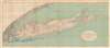 1913 U.S. Geological Survey Topographic Map of Long Island