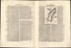 Isola di Madagascar, o di S. Lorenzo scoperta da Portoghesi nell'Anno 1506, Descritta dal P. Mrō Coronelli M.C. Cosmografo della Seren.ma Rep: Di Venetia, Dedicata All' Ill.mo Sigr. Antonio Magliabecchi, Bibliotecario dell' A. Serenissima Del Gran Duca di Toscana. - Alternate View 1 Thumbnail