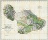 1885 De Witt Alexander Wall Map of Maui, Hawaii