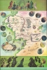 1970 Baynes Map Map of Middle Earth for Tolkien's 'Lord of the Rings'