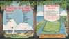 1924 Schulte Realty City Plan or Map of New Smyrna Beach, Florida