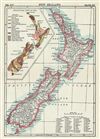 1884 Encyclopedia Britannica Map of New Zealand
