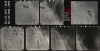 1958 Hunting Aerosurveys Aerial Image Runs of Qatar North of Doha