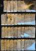 1958 Hunting Aerosurveys Aerial Image Runs of Qatar North of Doha
