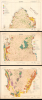 1970 Jaidah Bilingual Geological and Petroleum Three Map Set, Qatar