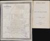 1868 Hogg City Plan or Map of Savannah, Georgia