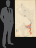 1970 Manuscript Wall Planning Map of the Port of Seattle, Washington