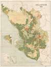 1929 F.M.S. Wall Map of Selangor (Kuala Lumpur)