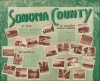 Sonoma County Its Highlights Fill This Cartograph... Its Yardsticks Appear Below. / Historic Sonoma County in California's Redwood Empire Wonderland. - Alternate View 2 Thumbnail