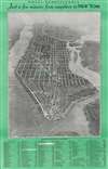 1934 Freedman Bird's Eye View SuperVue Map of New York City