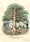 1860 Peake Temperance Allegorical Chromolithograph 'Tree of Misery'