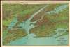 1928 Nostrand Birds Eye View Map of New York City, New York