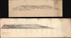 1917 Manuscript World War I Panoramic Views of Part of the Western Front